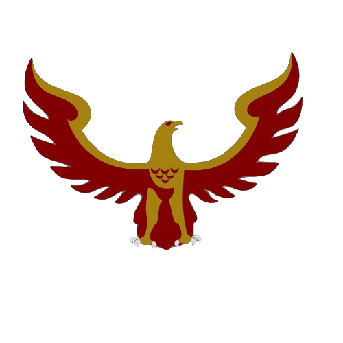 Skywalkerz 1z collection-merchandize designer